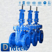 Didtek Petroleum gate valve wcb